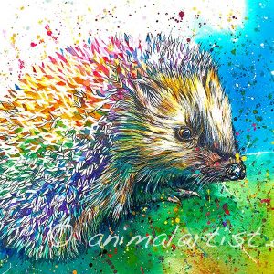 colourful hedgehog painting