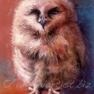 pastel painting of baby owl